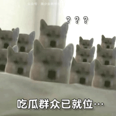  聊天沙雕必备丨狗子拿刀表情包,就问你怕不怕