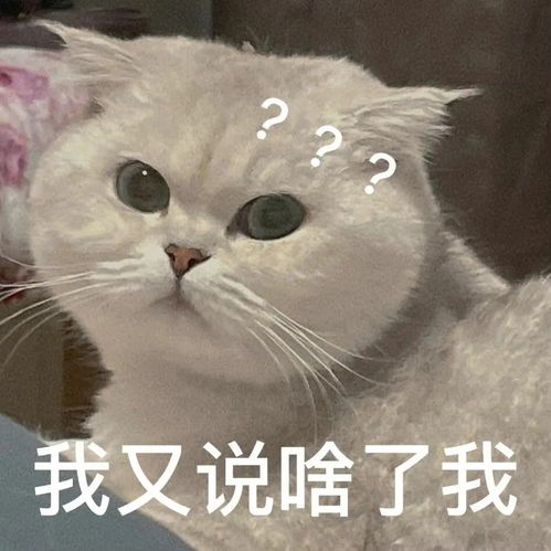 搞笑表情包别碰我我没生气 搞笑表情包别碰我我没生气