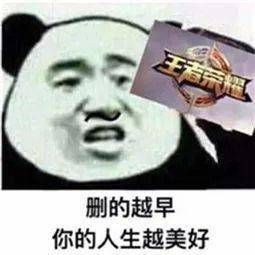  王者荣耀熊猫头系列表情包