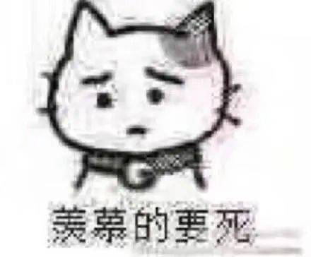  夏天千万别这么穿t恤,真的土