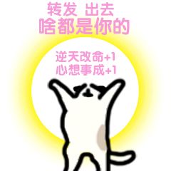  舞会纪实丨让脱单成为可能