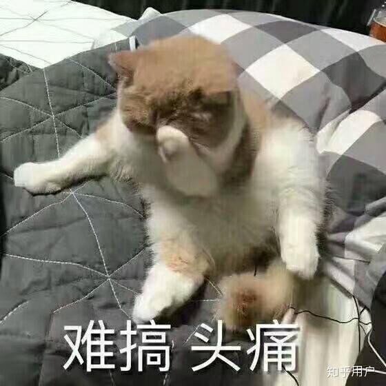  脸瘦下来是一种怎样的体验