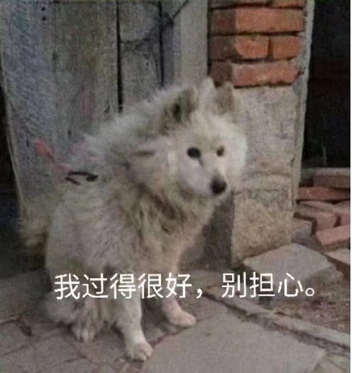  多么欠虐的一张脸啊
