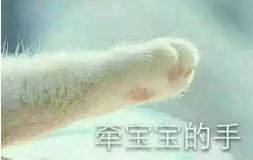  猫爪丑拒表情包