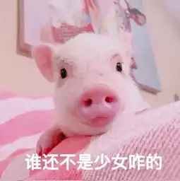 猪头像情侣表情包我好方