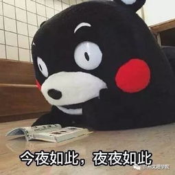  期末将至,我更爱学习了