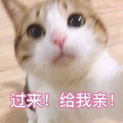  收藏无水印斗图表情包