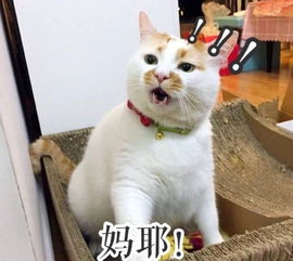  李现王紫璇恋情曝光刚被传,绯闻女友就辟谣了