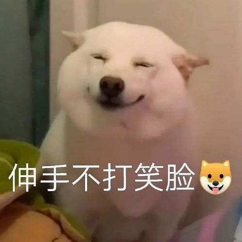  朋友们我们小组可以分区啦内附各分区介绍,大家...