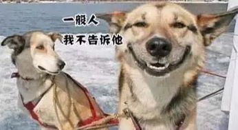  大同银隆广丰