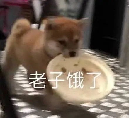  想看高岭之花求而不得