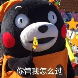 当别人问你七夕怎么过时 当别人问你七夕怎么过时