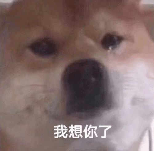  此片献给2021届毕业生