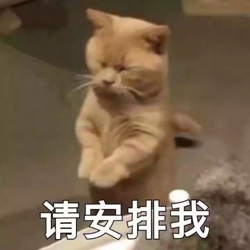  假期南审青年图鉴