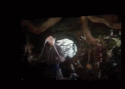  三生三世十里拉面表情包下载三生三世十里拉面gif表情包高清无水印极光下载站