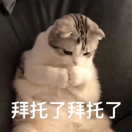  小心文山湖有蛇出没,深大人走路不要玩手机了