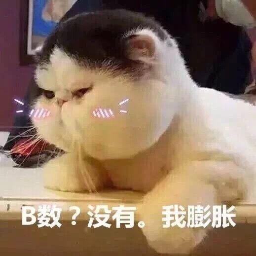 苏大强表情包生成器橘猫