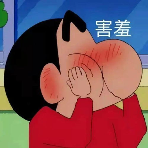  细腻的美好,藏在生活各处