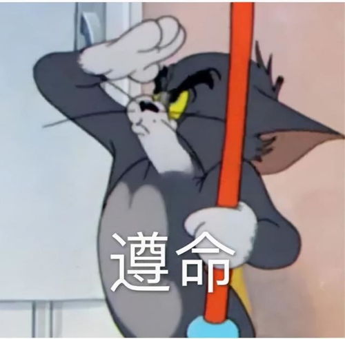  重要提醒今年uc将使用抄袭检测软件审核所有申请者的文书