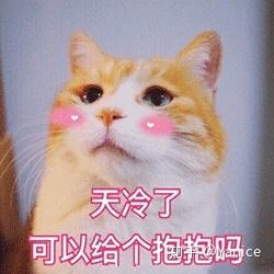  你有哪些压箱底的表情包
