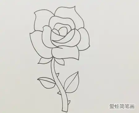  玫瑰花简笔画