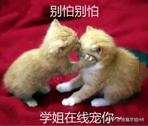 2021届校招网申入口及时更新分行业 2021届校招网申入口及时更新分行业