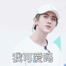 蔡徐坤与王菊,偶像的两极 蔡徐坤与王菊,偶像的两极