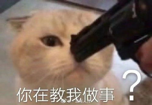 夸人的表情包一套周淑怡