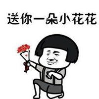  送你小花花套路表情包微信头像图片大全