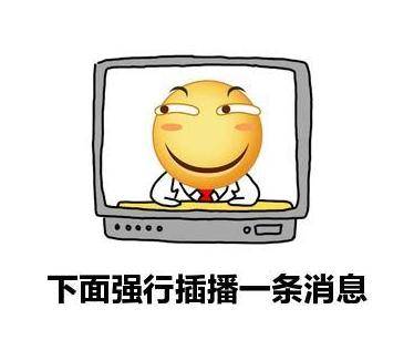  云南大象,来我们花博会了