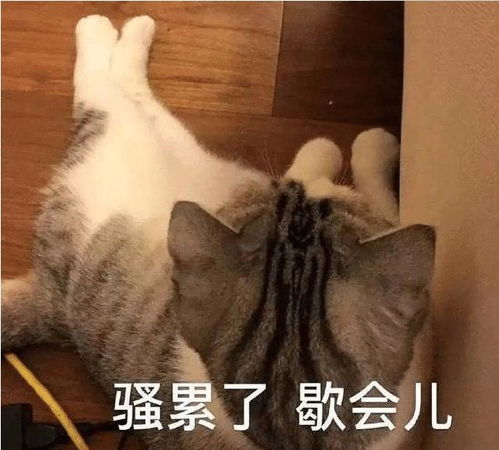 猛虎落泪表情包 微博小