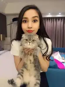  倪妮带萌喵登时尚封面,看女神和她们的猫