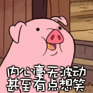  猪年只有354天农历并不等于阴历2262年将会有两个春节
