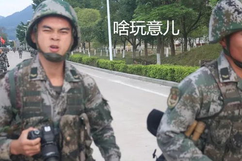  哈哈哈独霸了,这波兵哥哥独属表情包