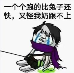 给你的锅表情包