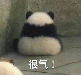  有没什么特别可爱的表情包分享呀