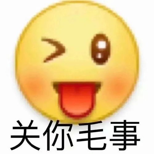 分享一组阴阳怪气小黄豆表情包合集