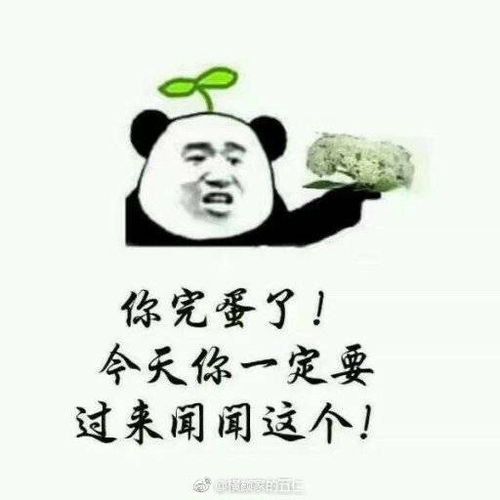 学校为什么要种石楠花啊啊啊啊啊 学校为什么要种石楠花啊啊啊啊啊