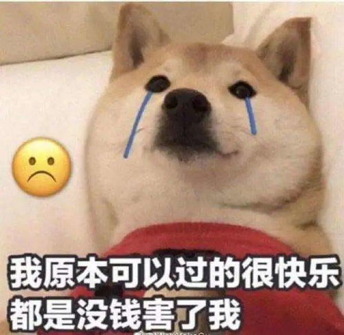  网友吐槽感觉乾州场上的东西也不便宜,尤其是水果