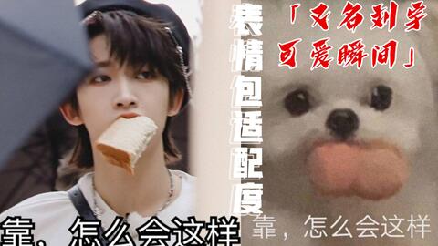  表情包配音收藏许久的表情包还有这用途