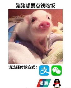  再问自杀这些你们一天发800次的表情包网红到底是谁vol.2