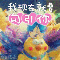  厦门的小世界杯来了五人制足球赛邀您展锋芒