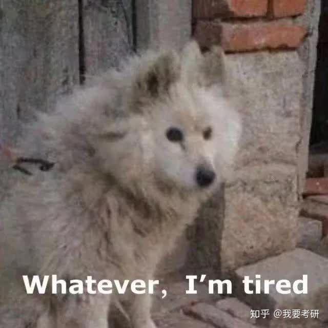  感觉自己考不上研了怎么办