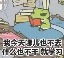 万能表情包英文翻译犯法