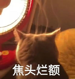  软饭男q规则失败,暴打女友致其流产