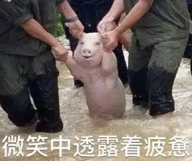 2017年度表情包大赏小猪佩奇,假笑boy,边缘试探.你最爱 2017年度表情包大赏小猪佩奇,假笑boy,边缘试探.你最爱