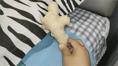 睡觉前在枕头旁边放生姜包,效果是真厉害,能解决男女人的大困扰 睡觉前在枕头旁边放生姜包,效果是真厉害,能解决男女人的大困扰