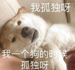  测测你的性格有多难捉摸,大胆的晾出来