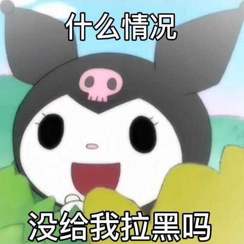  你有哪些关于王思聪和孙一宁事件的表情包和经典语录,可以分享一下吗