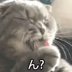 跟b站数码大佬一比,鞋圈币圈都弱爆了 跟b站数码大佬一比,鞋圈币圈都弱爆了